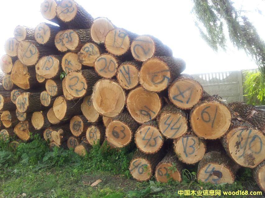 ��ľ��Ԕ��(x��)��B