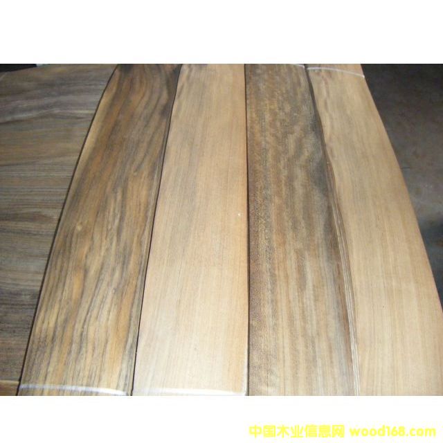 ���N��ƤľƤ