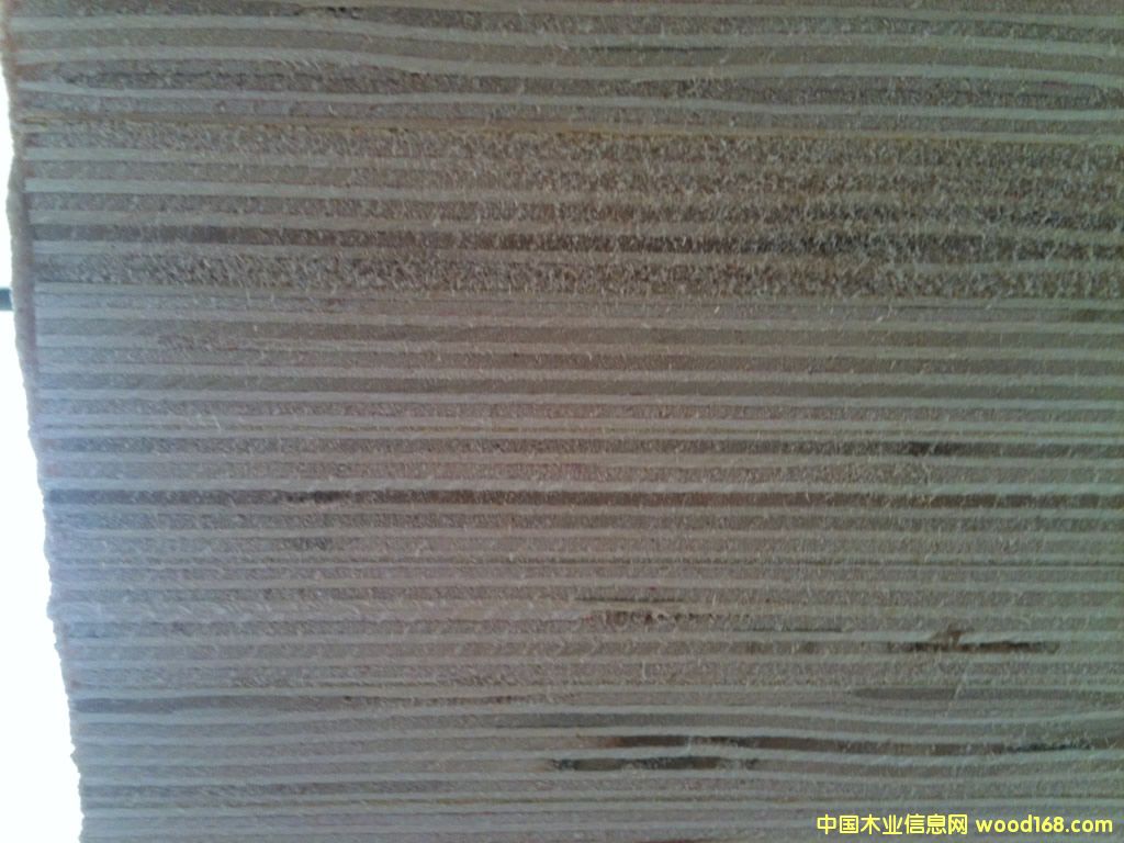 樺木膠合板 樺木膠合板