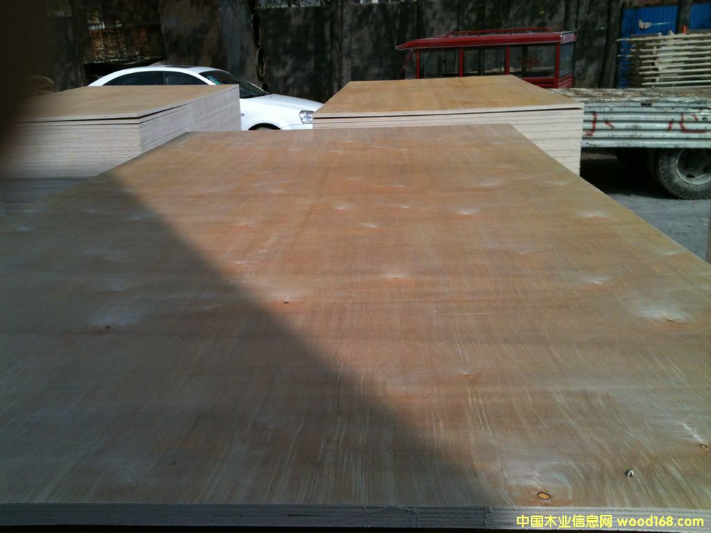 樺木膠合板 樺木膠合板