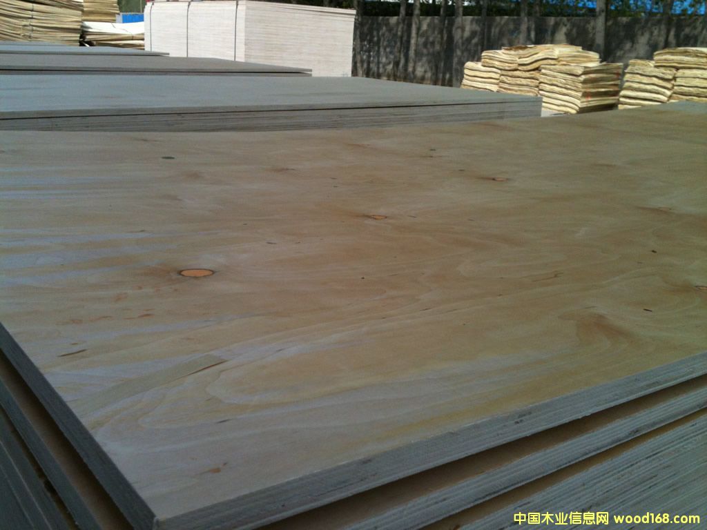 樺木膠合板 樺木膠合板