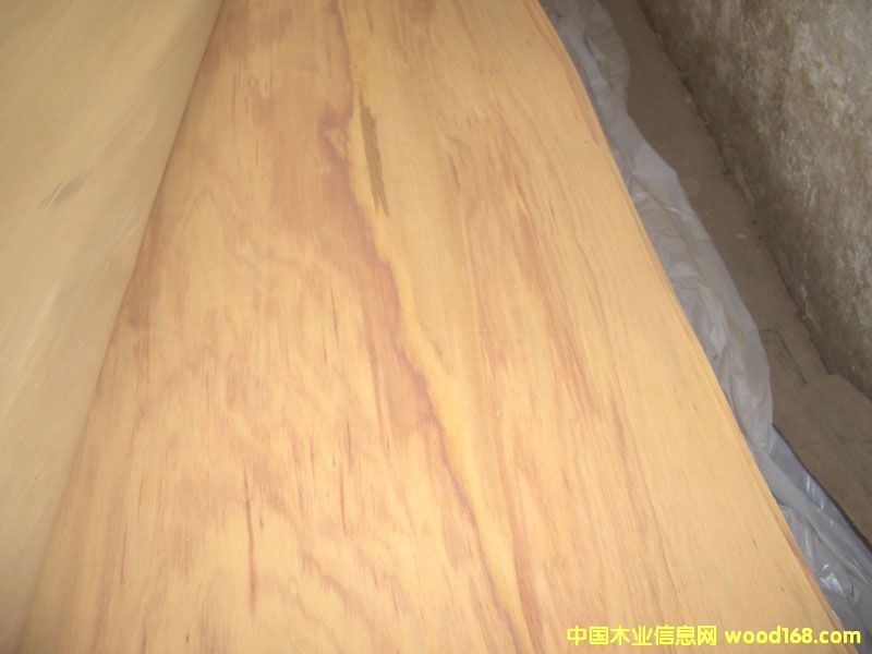 山桂花單板 山桂花單板