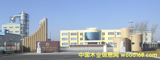 �|���_(t��i)��������ľ�I(y��)��˾��(sh��)�� 