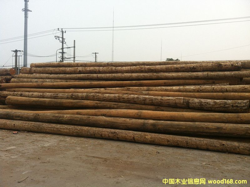 �����Ϸ���ԭľ��Ԕ��(x��)��B