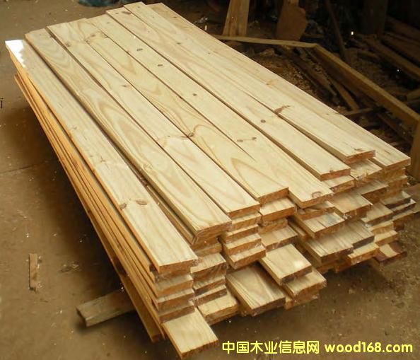 ��������ľ��Ԕ��(x��)��B