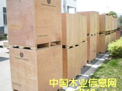 �Ϻ����t�ĈF(tu��n)�(zh��n)���bľ��ľ�бP(p��n)