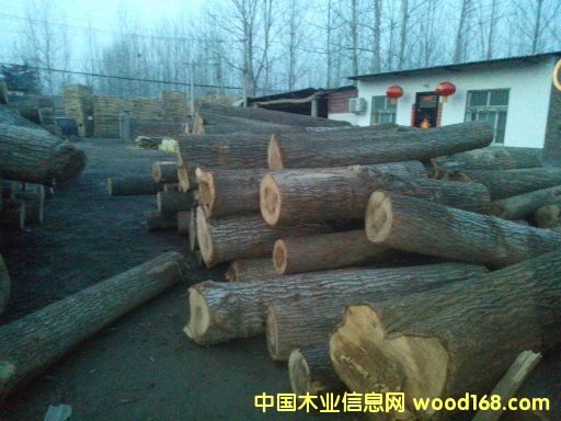 [��] ��������(y��ng)���ϰח�ľ��ɻ��������ח�ľ���