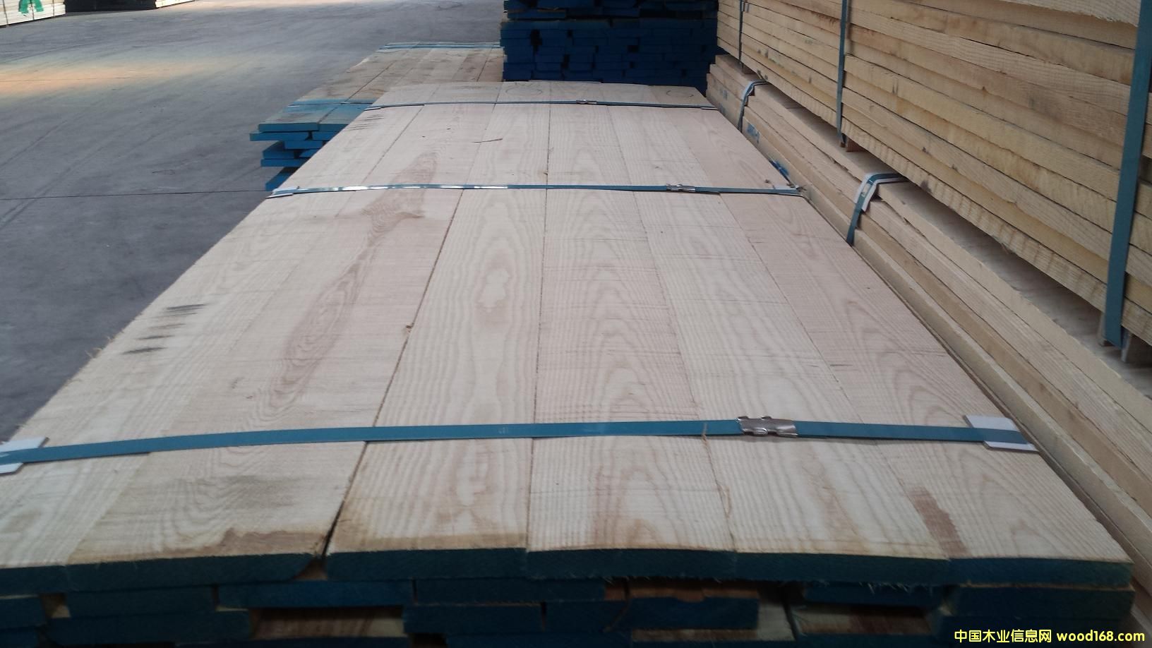 [��] �t��ľ������ľ����Ϟ?z��i)? title=