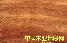 �����̴��Ԕ����B