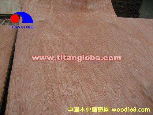 Face Veneer - Titan Globe��Ԕ��(x��)��B