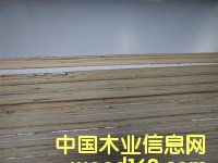 ���Ӱ��N����Ƥ �����谷