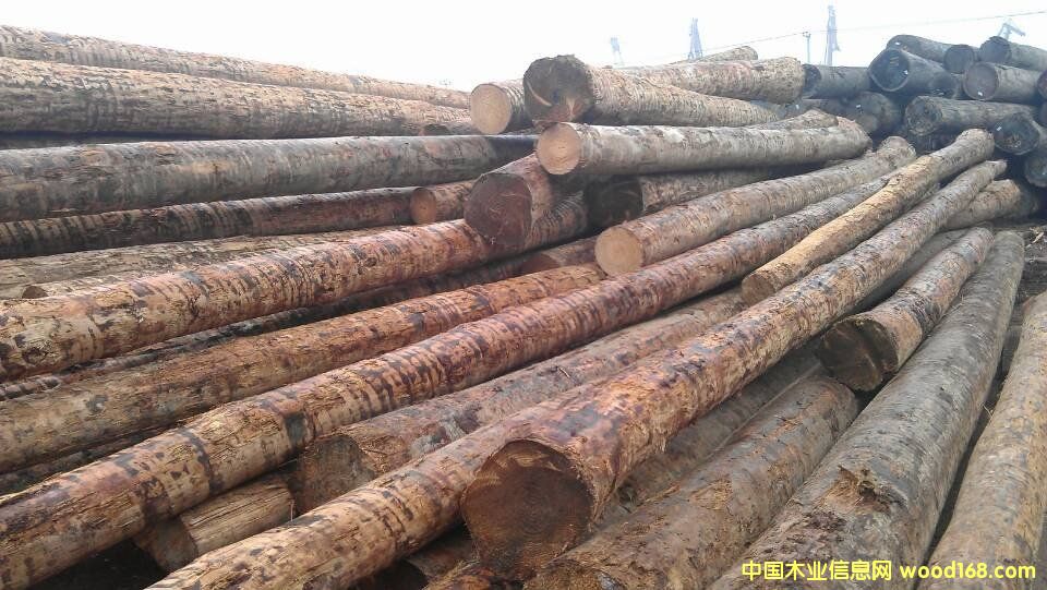 �����Ϸ���ԭľ