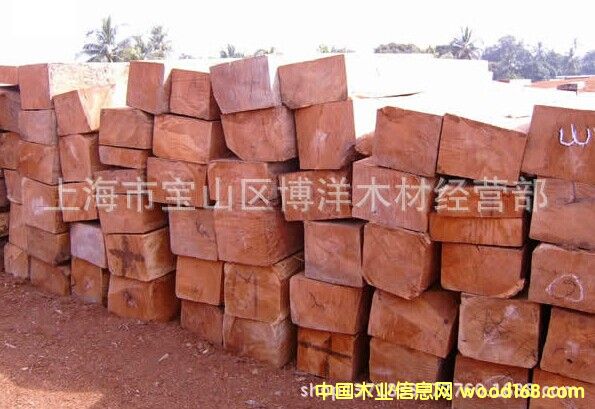 ���ѣ����޻����Ԕ��(x��)��B