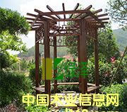 ����̼��ľ��ͤ��Ԕ��(x��)��B