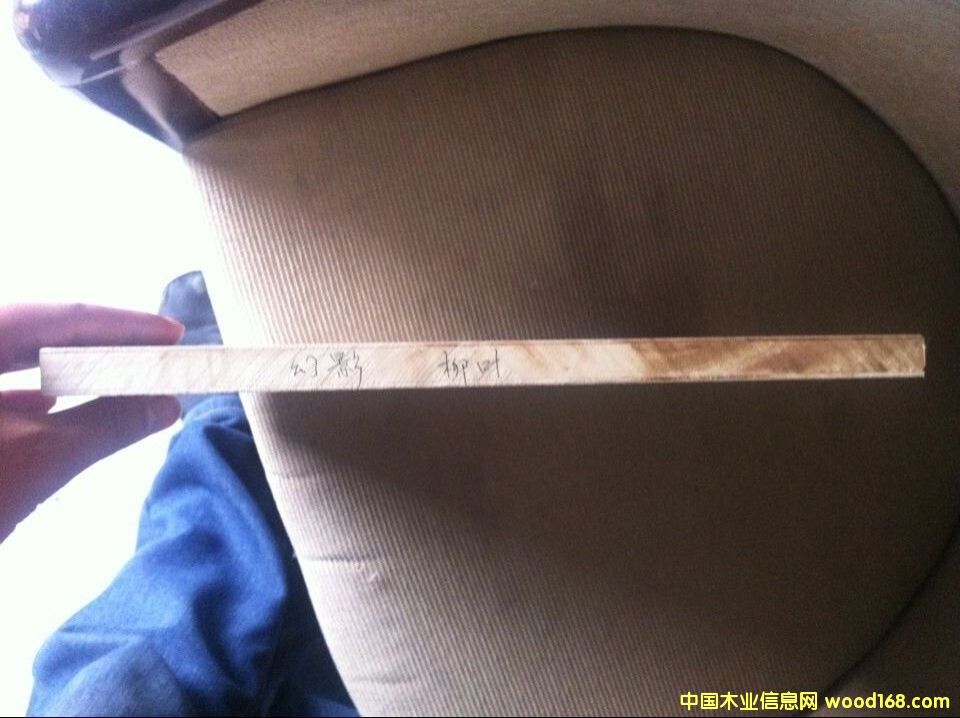 �������B(t��i)���Ԕ��(x��)��B