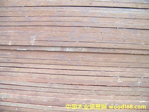 ���������z��-ȫ��ľ���Lɳ��ͨľ�I(y��)���l(f��)��Ԕ��(x��)��B