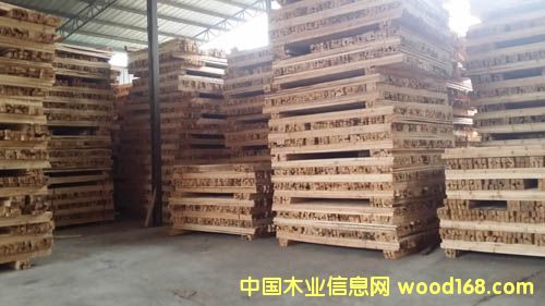 ����ѩ�ɡ����M(j��n)��ľ��ľ�����W�������L(zh��ng)ɳ����ѩ���N��