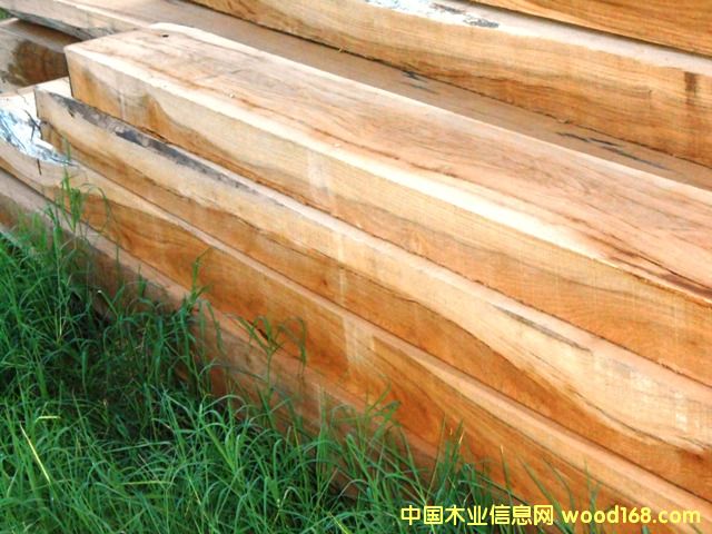 ������֦��Ԕ��(x��)��B