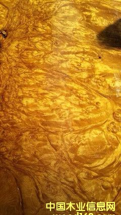 ��z�ľ��������Ԕ����B