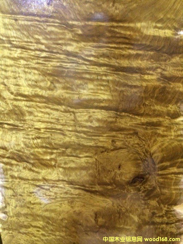 ��z骼Ҿ������l(f��)��Ԕ����B