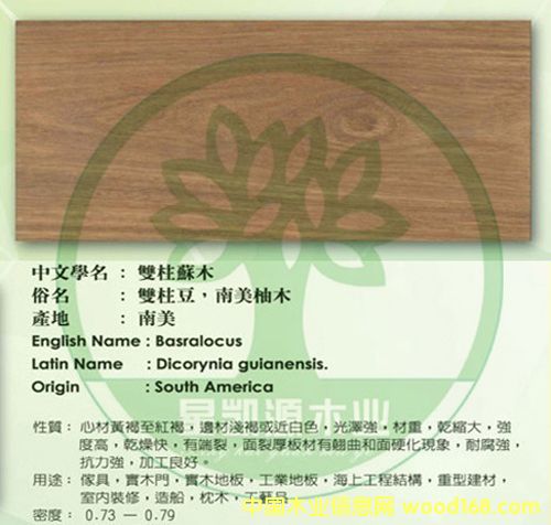 ����-��ľ��Ԕ����B