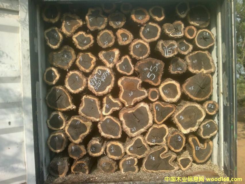 �Ϲ�̴����ľ��Ԕ��(x��)��B