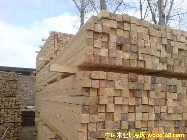 �|���ɵ�Ԕ����B