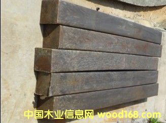 �V����ľ��Ԕ��(x��)��B