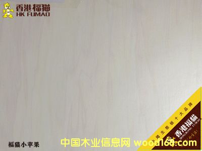 ��۸�؈С�O��3��Ԕ����B