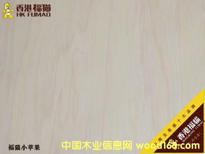 ��۸�؈С�O��1��Ԕ����B