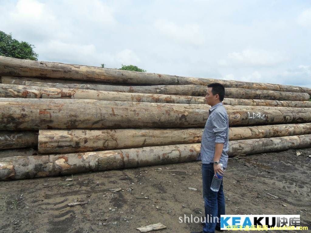 �T����˹��Ԕ��(x��)��B