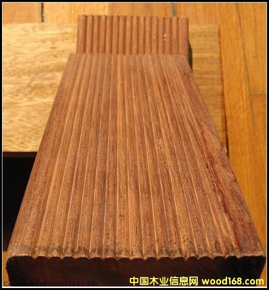 �R���������}�����ľ