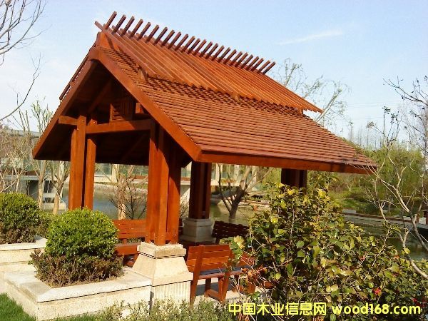 ����˹���T����˹