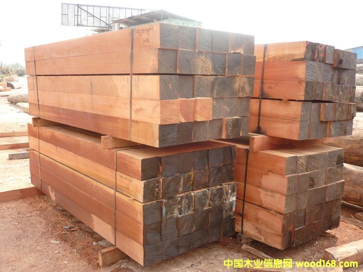 �S�̈́�ľ��Ԕ��(x��)��B