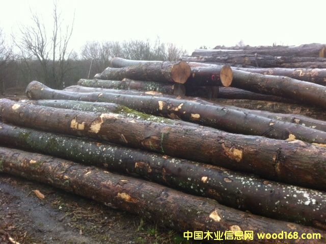 �·��W��ABC��(j��)��ľԭľ��Ԕ��(x��)��B