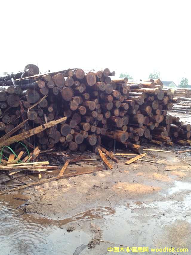 [��] �ձ�ɼԭľ ��ɼľ ��ɼľ һ��؛Դ�M(j��n)��