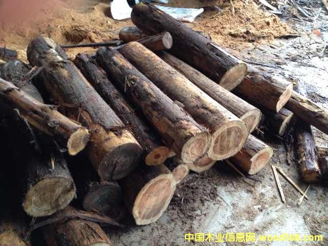 [��] �ձ�ɼԭľ ��ɼľ ��ɼľ һ��؛Դ�M(j��n)��