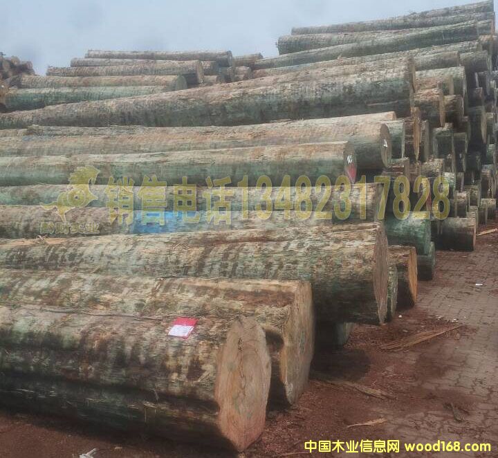 �M(j��n)��ԭľ�Aľ ����