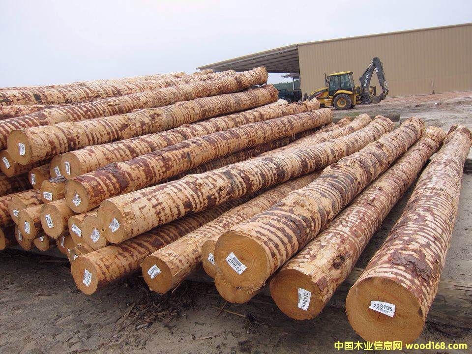 �Ϸ���ԭľ��Ԕ��(x��)��B