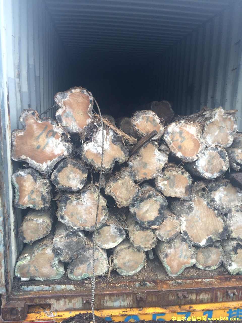 FSC 100%��˹�_(d��)�����ľ��Ԕ��(x��)��B