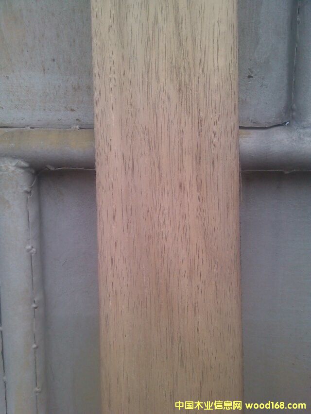 ���z����Ԕ��(x��)��B