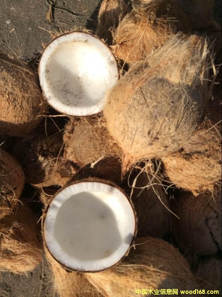 Ҭ�����Ԕ����B