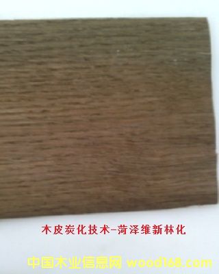 ��ѬľƤ̎�턩