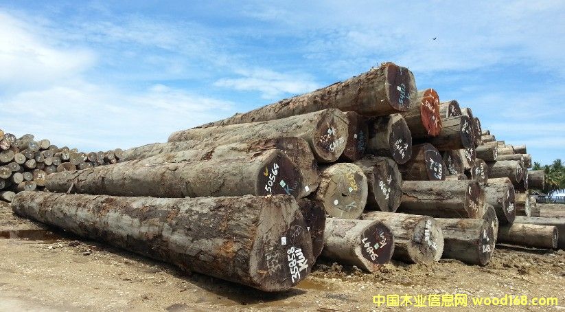 ���}���Ԕ����B