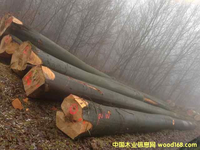 ���ЙC��ľԭľ��Ԕ����B