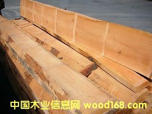 ����ľ��ĵ�Ԕ����B