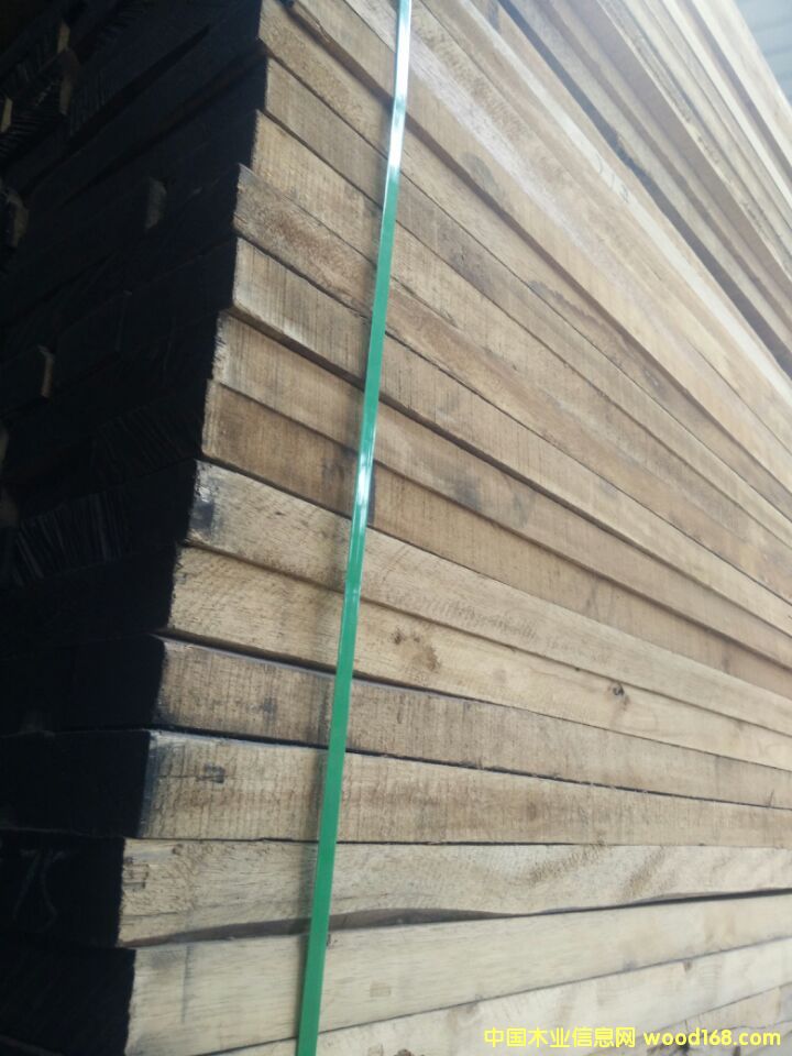 欖仁木的詳細(xì)介紹