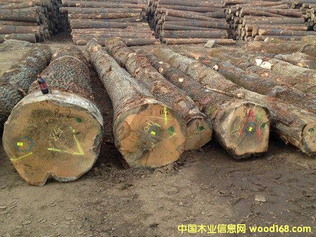 �W���Ԕ��(x��)��B