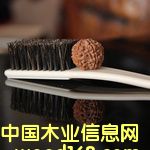 ����ˢ-������Ҍ�(zhu��n)���坍ˢ