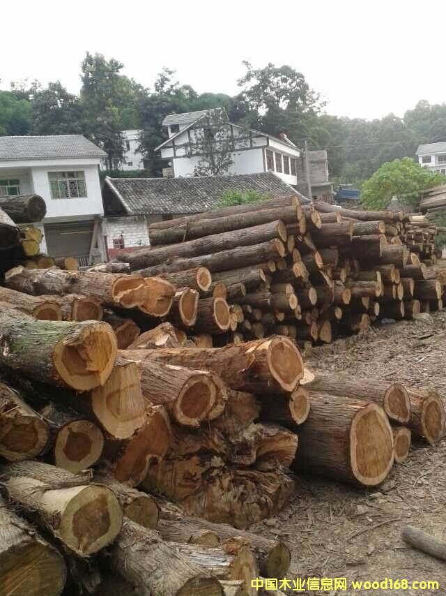 �ľ�Ҿߵ�Ԕ����B